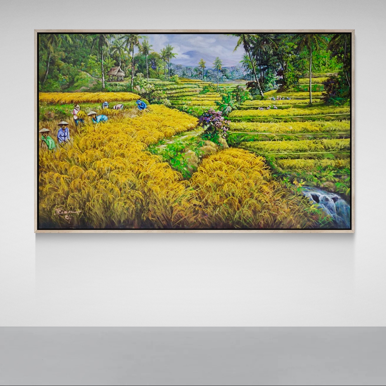 Golden Harvest in the Terraced Valley image 4