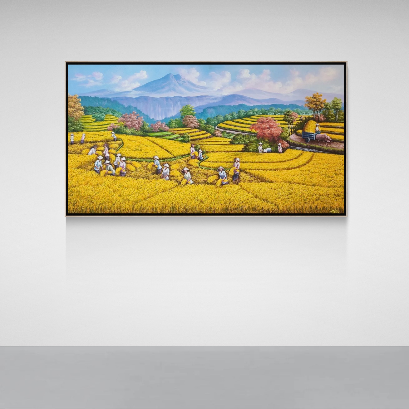 Golden Harvest Across the Terraces image 4